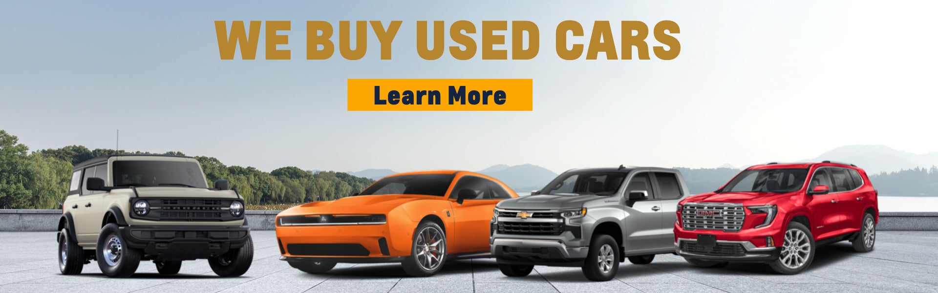 We Buy Used Cars